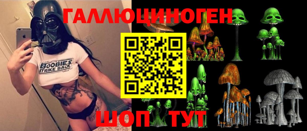 Кувандык  Галлюциногенные грибы прущие грибы  Вход с VPN 